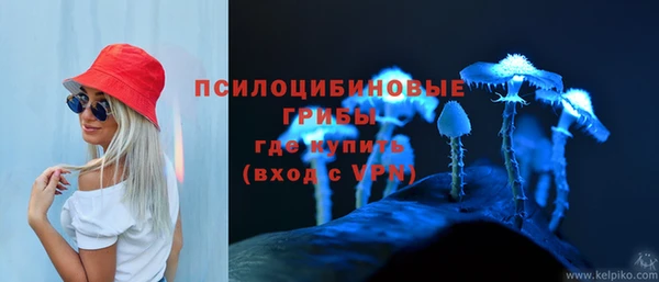 дмт Чердынь