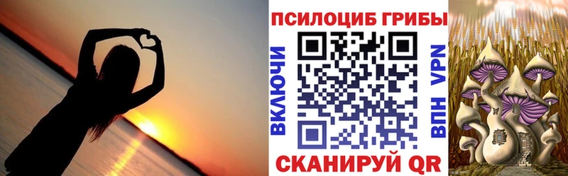 Галлюциногенные грибы Magic Shrooms  Купить  Углич 